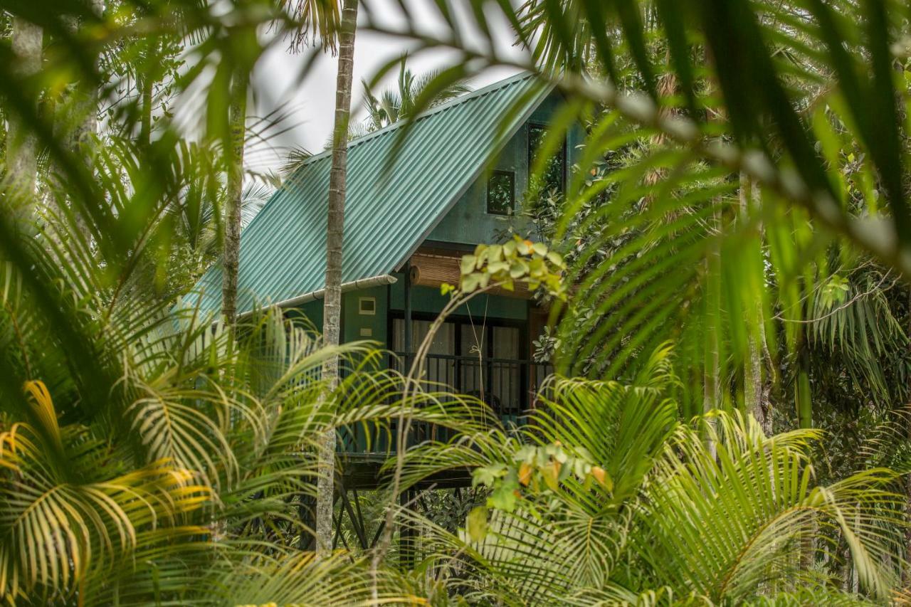 Kedara Village Sultan Bathery Ngoại thất bức ảnh